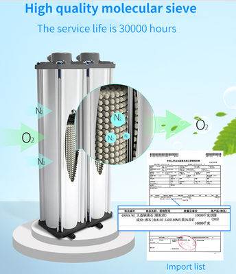 Báo động độ tinh khiết 96% Máy tập trung oxy y tế 5lmp Di động với máy phun sương